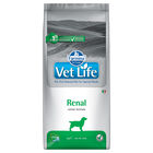 Farmina Vet Life Dog Renal 2 kg image number 0