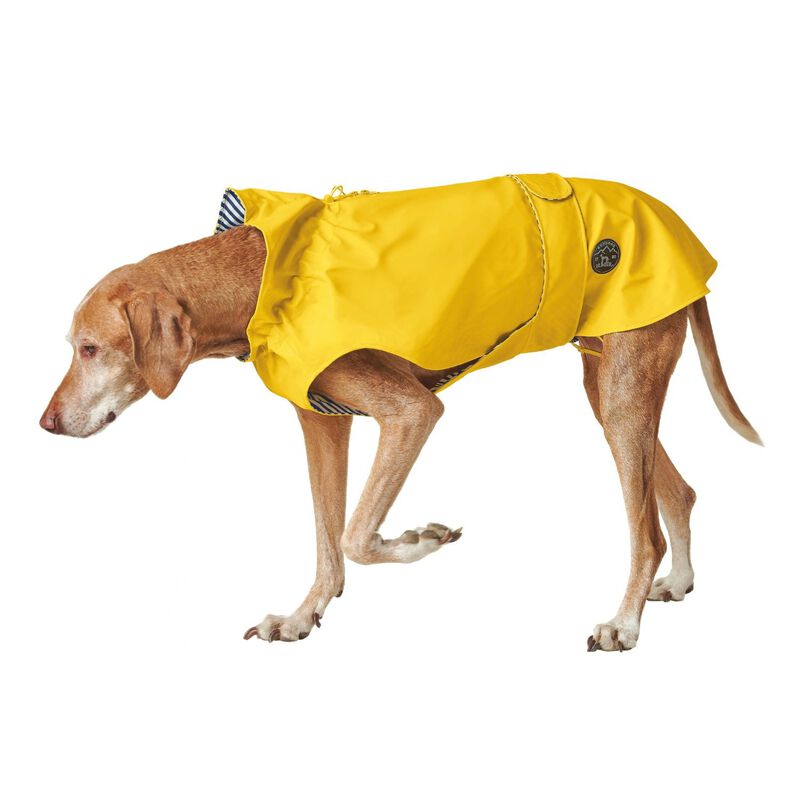 Hunter Impermeabile Milford per cani Giallo Tg.70