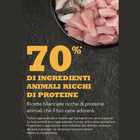 Acana Dog Puppy Large Breed Recipe 11,4 kg