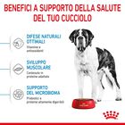 Royal Canin Dog Giant Junior 15 kg
