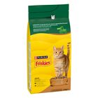 Friskies Cat Adult con Mix di Pollo e Tacchino e con Verdure 2 kg