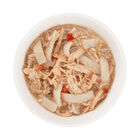 Schesir Taste the World Dog Adult Asian Stir Fry in brodo 150gr