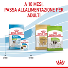 Royal Canin Dog Puppy X-Small 1,5 kg