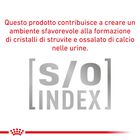 Royal Canin Expert Neutered Adult Small 1,5 kg - Scad. Dicembre 25