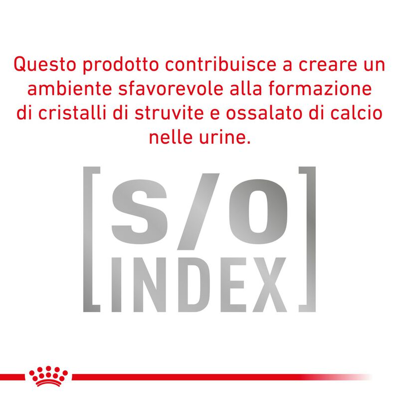 Royal Canin Expert Neutered Adult Small 1,5 kg - Scad. Dicembre 25