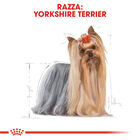 Royal Canin Dog Adult e Senior Yorkshire Terrier 1,5 kg