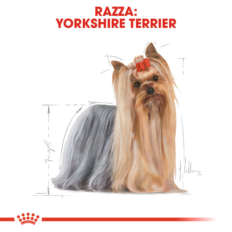 Royal Canin Dog Adult e Senior Yorkshire Terrier 1,5 kg
