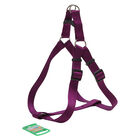 Petup Pettorina Flash taglia 4 viola