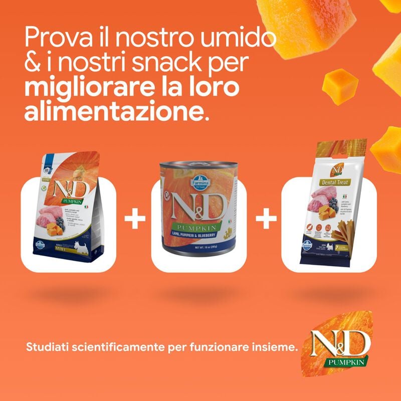 N&D Farmina Pumpkin Dog Adult Mini Agnello e Mirtillo 7 kg