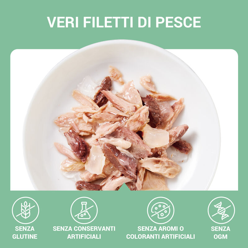 Schesir Cat Jelly Tonnetto con Alghe 70g Schesir Cat Jelly Tonnetto con Alghe 70g