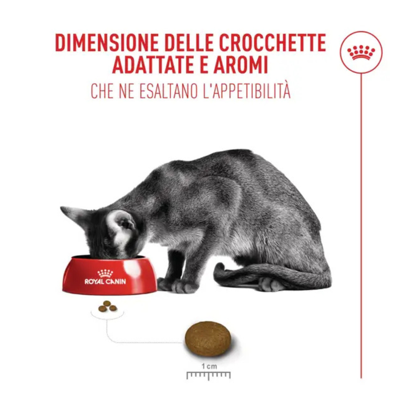 Royal Canin Cat Fussy Exigent 400gr