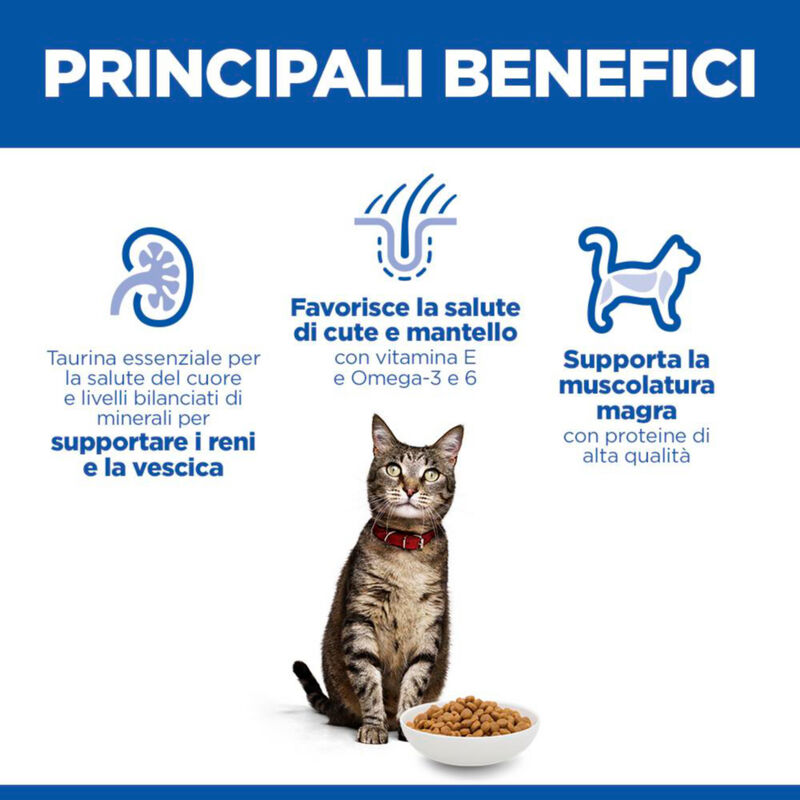 Hill's Science Plan Cat Adult 1-6 con Salmone 10 kg