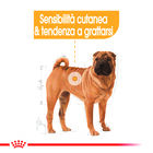 Royal Canin Dog Adult Medium Dermacomfort 3 kg - Scad. Gennaio 26