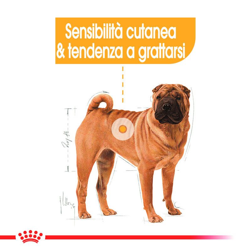 Royal Canin Dog Adult Medium Dermacomfort 3 kg - Scad. Gennaio 26