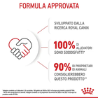 Royal Canin Cat Kitten Salsa 85 gr