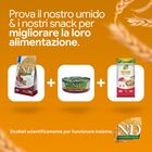 N&D Farmina Ancestral Grain Neutred Cat Pollo & Melograno 300 gr