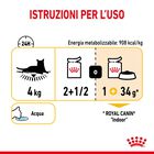 Royal Canin Cat Adult Sensory Taste Jelly 85 gr