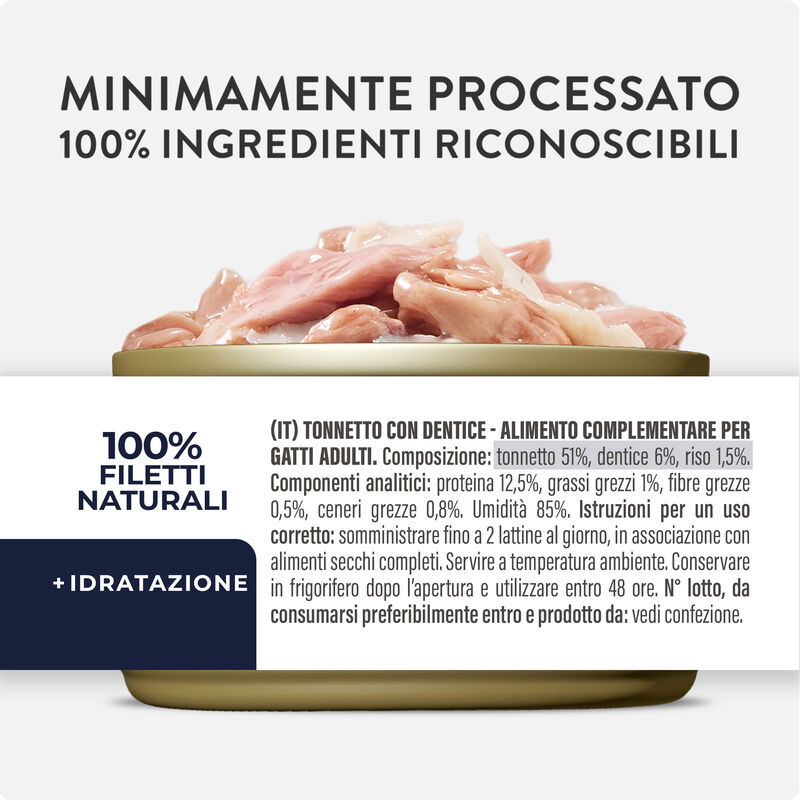 Schesir Cat Jelly Tonnetto con Dentice 70g