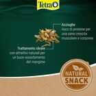 Tetra ReptoDelica Anchovies 1L