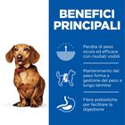 Hill's Science Plan Dog Perfect Weight Small & Mini Adult con Pollo 1,5 kg