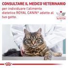 Royal Canin Veterinary Diet Cat Adult Gastrointestinal Hairball 400 gr