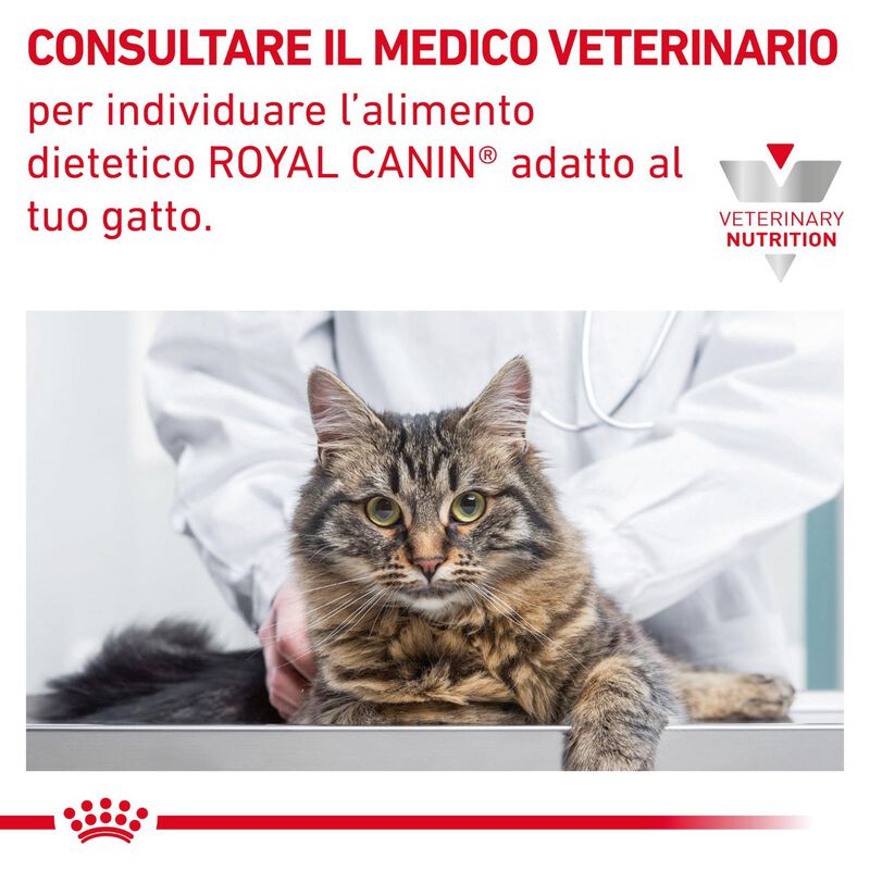 Royal Canin Veterinary Diet Cat Adult Gastrointestinal Hairball 400 gr