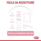 Royal Canin BabyCat Kitten Milk 300 gr - Scad. Gennaio 26