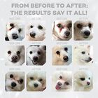 Nature's Protection Superior Care Dog Junior Small & Mini Pelo Bianco al Pesce 1,5 kg