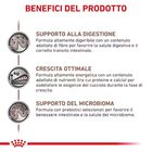 Royal Canin Veterinary Diet Puppy Gastrointestinal 1 kg