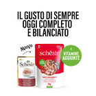 Schesir Cat Tonnetto con Gamberetti 85 gr