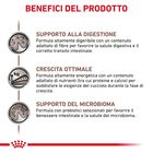 Royal Canin Veterinary Diet Dog Puppy Gastrointestinal 10 kg