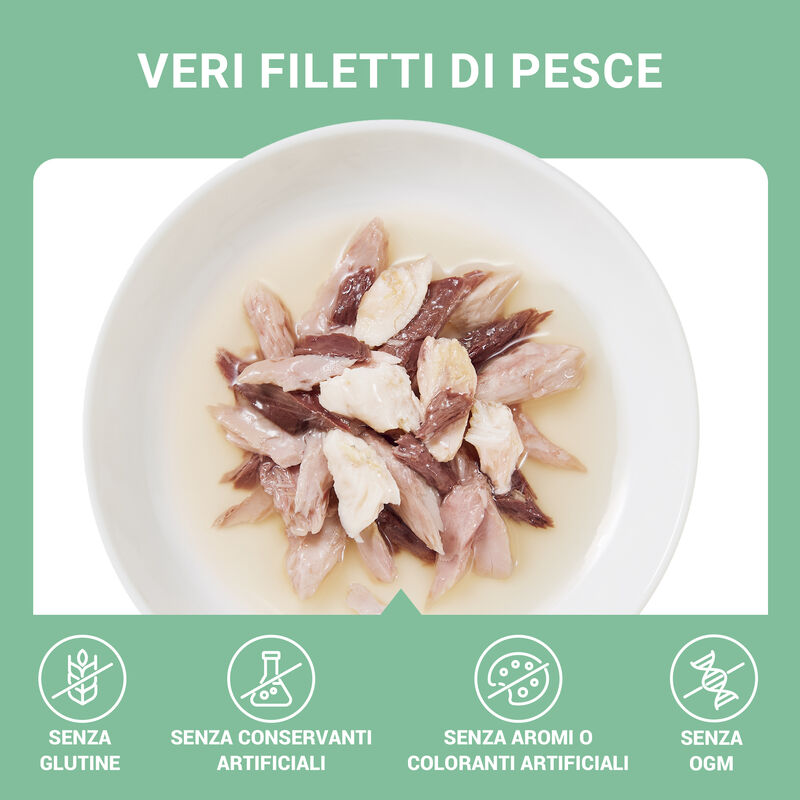 Schesir Cat Tonnetto con Triglia in Brodo di Pesce 70 gr