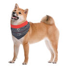 Camon Bandana doble face 100 cm All you need