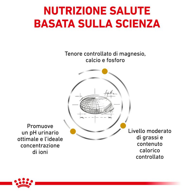 Royal Canin Veterinary Diet Cat Urinary S/O Moderate Calorie 400 gr