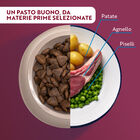 Monopro Dog Adult Medium&Large Grain Free Agnello 3 kg