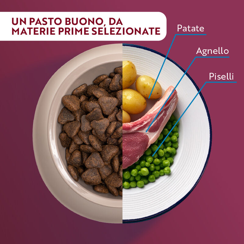Monopro Dog Adult Medium&Large Grain Free Agnello 3 kg