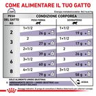 Royal Canin Expert Cat Adult Neutered Maintenance 12x85 gr