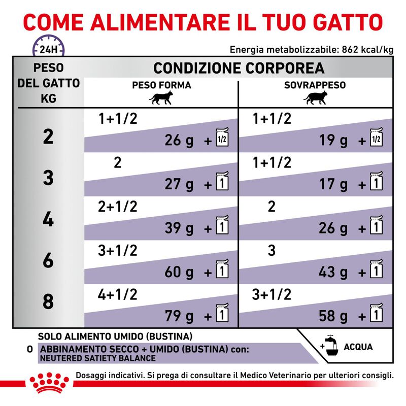 Royal Canin Expert Cat Adult Neutered Maintenance 12x85 gr