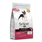 Schesir Dog Small Adult con Prosciutto 2 kg image number 0