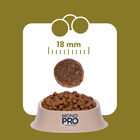 Monopro Dog Adult Medium&Large Grain Free Tacchino 3 kg