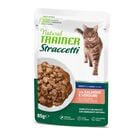 Natural Trainer Cat Adult Straccetti di salmone 85gr image number 0
