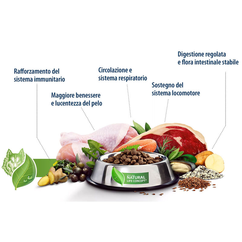 Happy Dog Adult Mini NaturCroq Salmone e riso 800gr