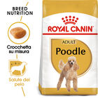 Royal Canin Dog Adult e Senior Barboncino 1,5 kg