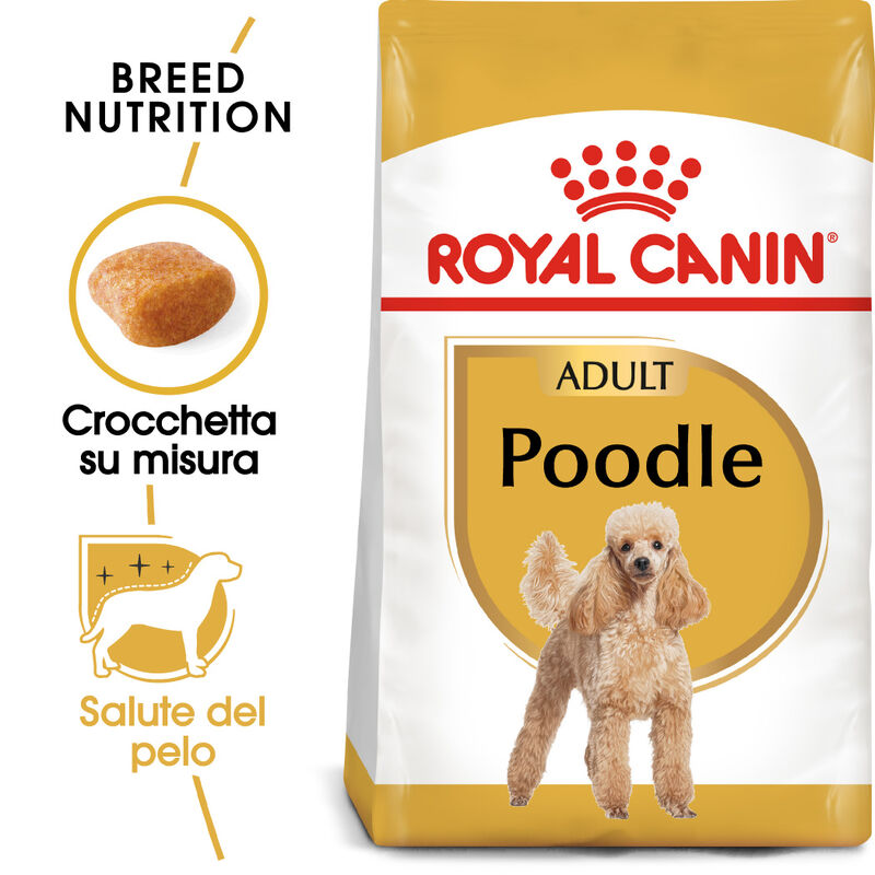 Royal Canin Dog Adult e Senior Barboncino 1,5 kg