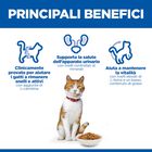 Hill's Science Plan Cat Adult Sterilised al Pollo 3kg