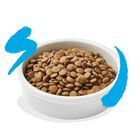 Edgard & Cooper Cat Adult al Salmone 2 kg