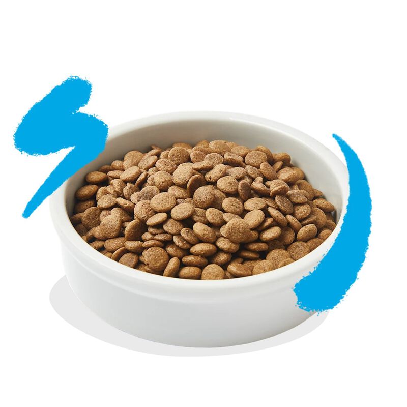 Edgard & Cooper Cat Adult al Salmone 2 kg