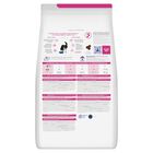 Hill's Prescription Diet Cat Gastrointestinal Biome Stress 1,5 kg