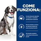 Hill's Prescription Diet Dog i/d Sensitive con Uova e Riso 12 kg