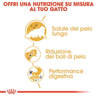 Royal Canin Cat Adult Persian 10 kg
